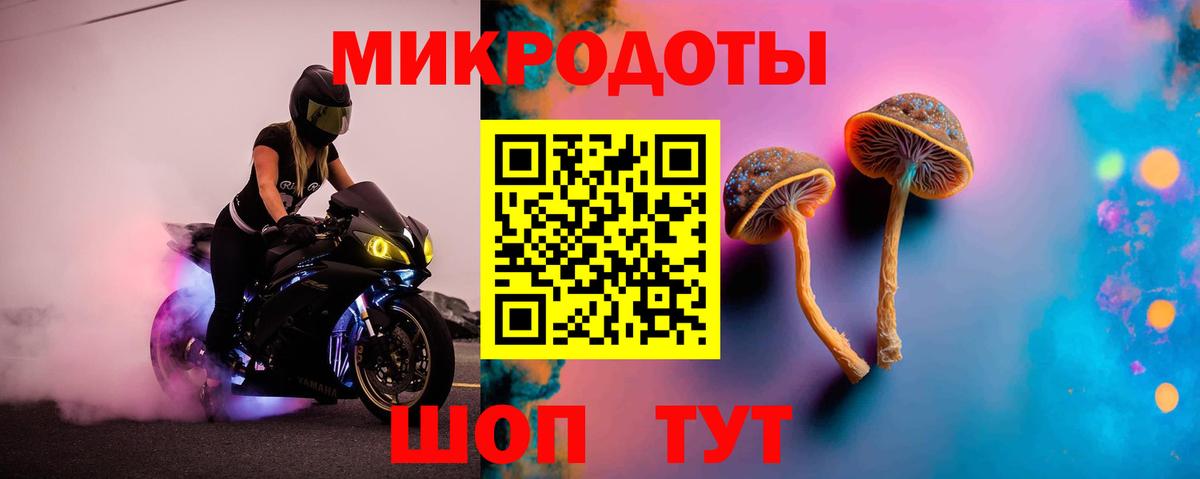 ГАШ Красноярск